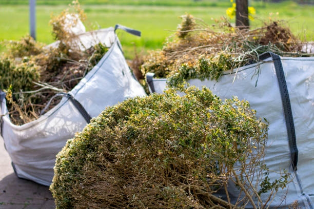Best Trash Removal Near Me  in Dripping Springs, TX